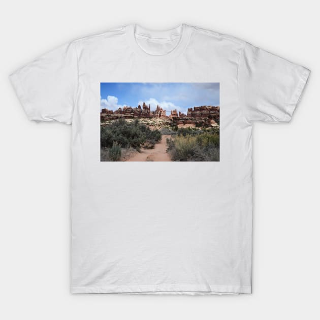 The Needles at Canyonlands, Another World 2 T-Shirt by elisewied